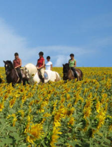 Epona Equestrian Center